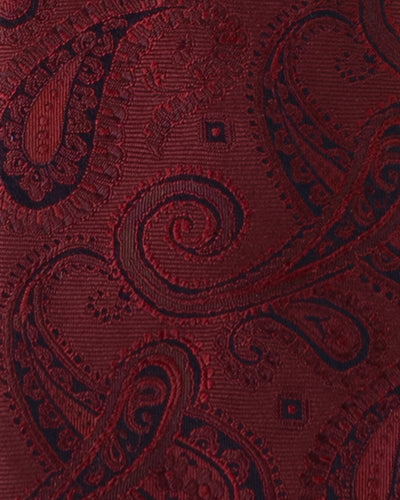 KYOTO SILK SHADOW PAISLEY TIE