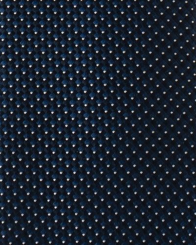 KYOTO SILK  MICRO TIE B