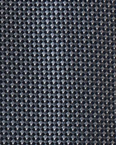 KYOTO SILK  MICRO TIE B