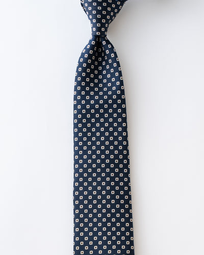 KYOTO SILK  KOMON TIE D