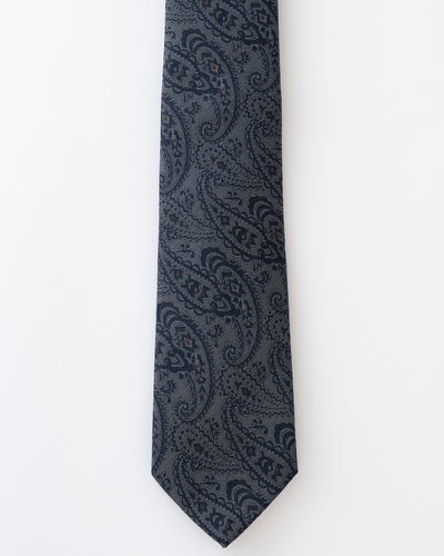KYOTO WASHABLE PAISLEY TIE B